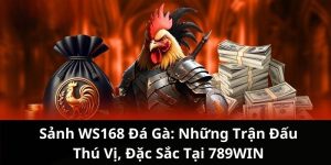 Sảnh WS168 đá gà