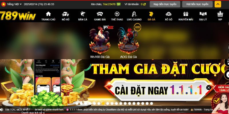 Hướng dẫn chi tiết các thao tác cá cược tại Sảnh AOG đá gà