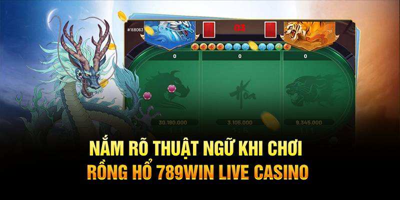 Nắm rõ thuật ngữ khi chơi Rồng Hổ 789WIN Live Casino